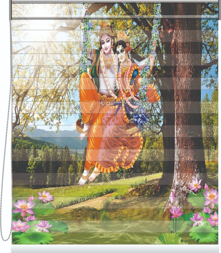Radha Krishna Zebra