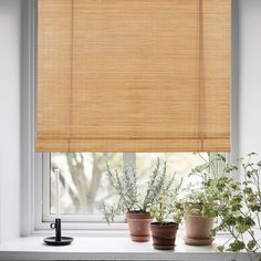 Outdoor Bamboo Roller